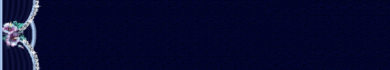 bntpal_1448298895_40