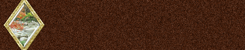 bntpal_1448298896_74