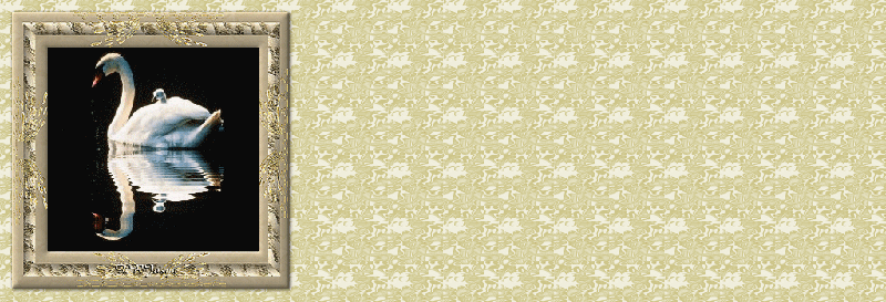 bntpal_1448298897_42
