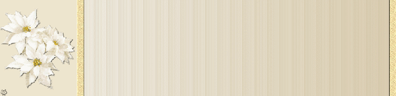 bntpal_1448298900_26