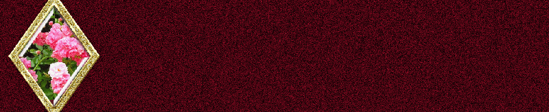 bntpal_1448298900_52
