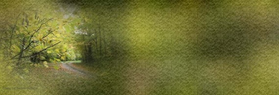 bntpal_1448298901_95