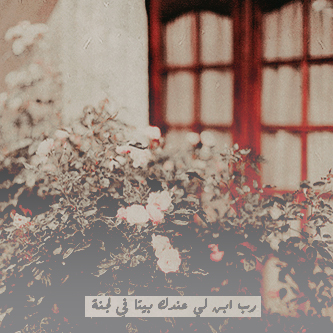 ...! bntpal_1448322981_87
