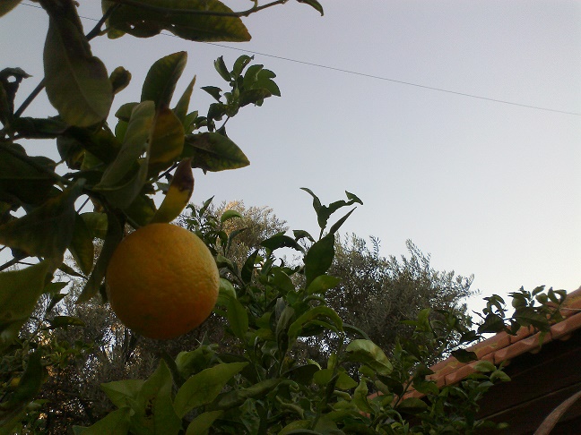 bntpal_1448432348_16