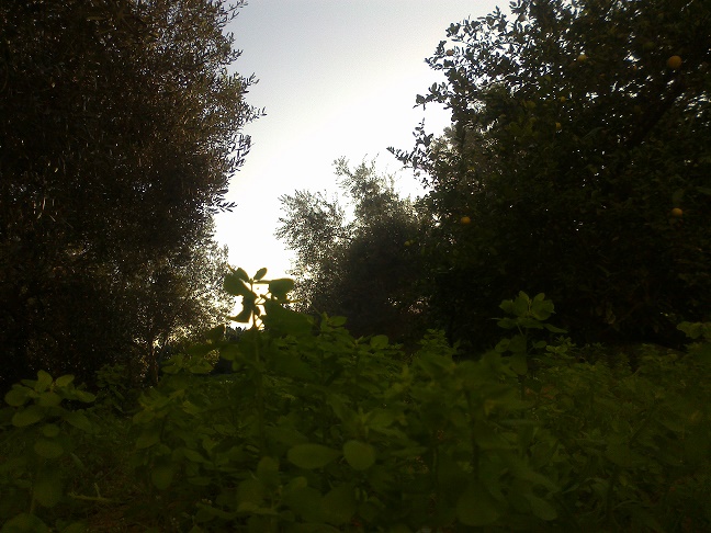 bntpal_1448432348_17