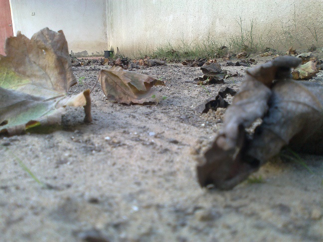 bntpal_1448432348_53