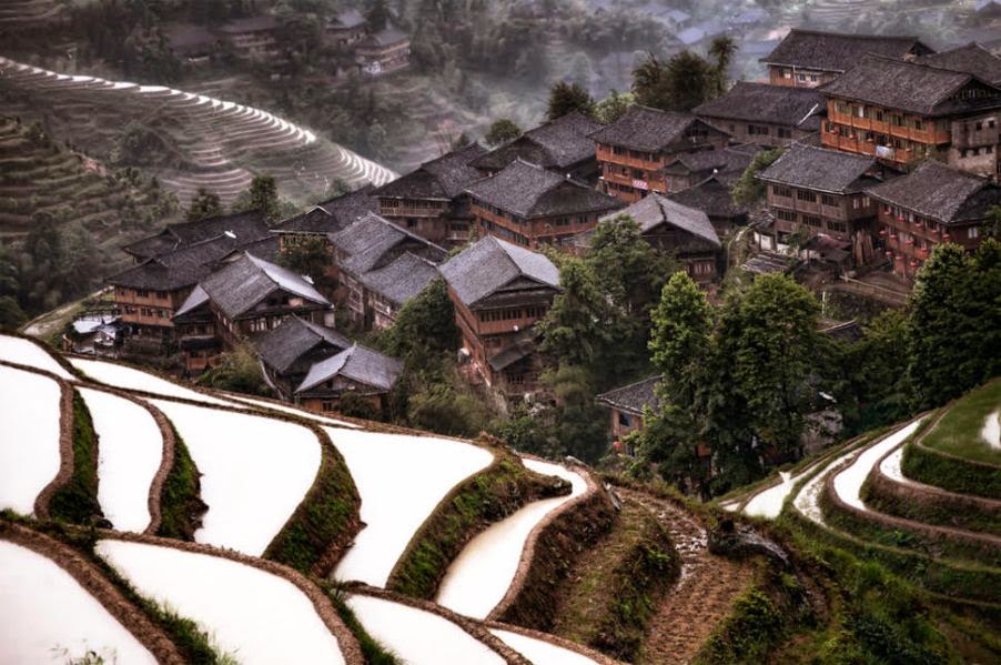 bntpal_1448467677_36