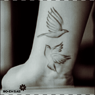 bntpal_1448563902_31