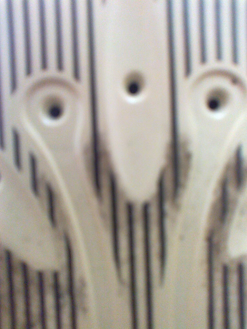 ... bntpal_1448629724_76