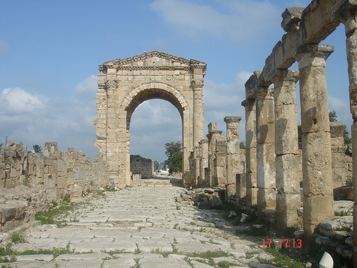  bntpal_1448671196_74