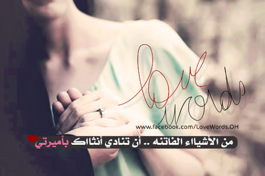 bntpal_1448742499_10