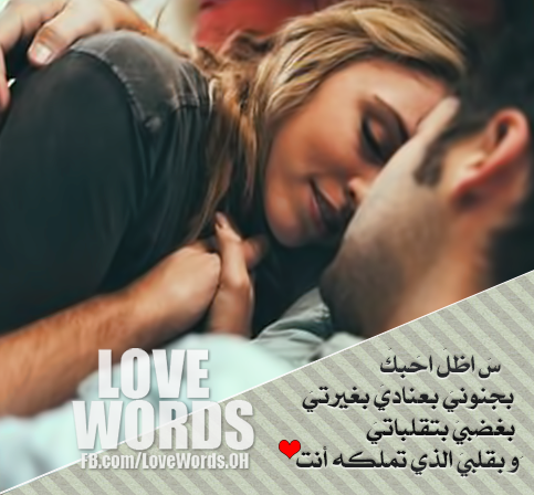 bntpal_1448742499_15