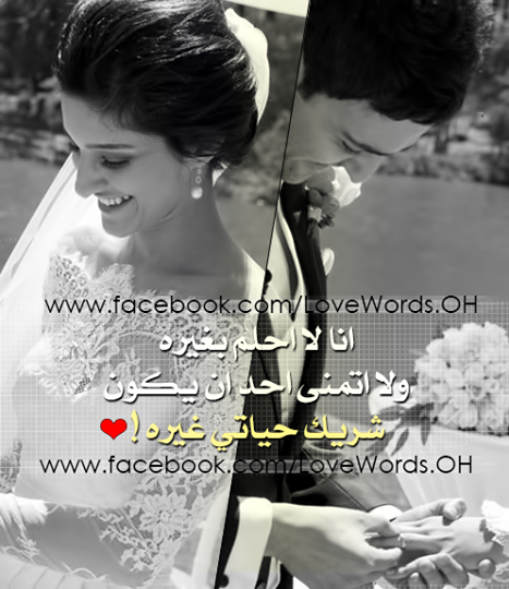 bntpal_1448742500_44