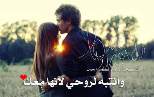 bntpal_1448742500_87