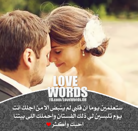 bntpal_1448742501_21