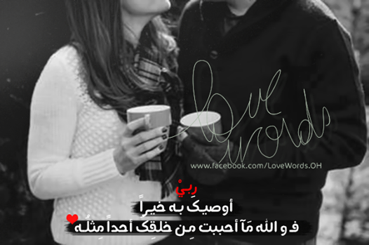 bntpal_1448742501_41