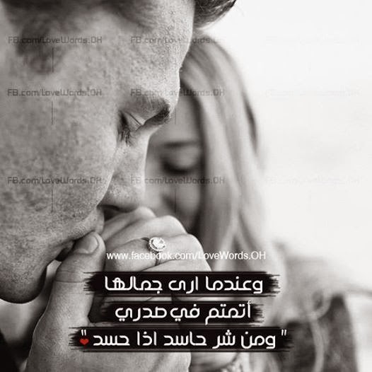bntpal_1448742501_45