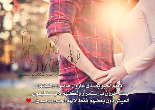 bntpal_1448742502_11