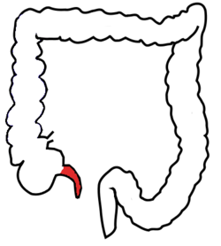  bntpal_1448742724_52
