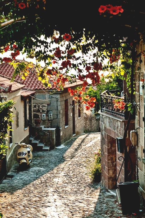bntpal_1448914389_43
