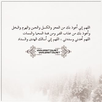 - -2016 bntpal_1449060627_87