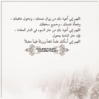 - -2016 bntpal_1449060628_54