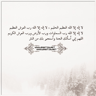 - -2016 bntpal_1449060628_70