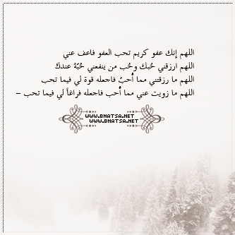 - -2016 bntpal_1449060629_53