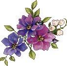  bntpal_1449067769_66