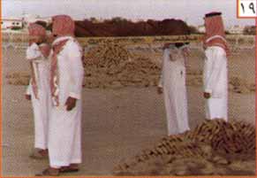 bntpal_1449128913_13
