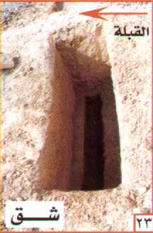 bntpal_1449128914_75