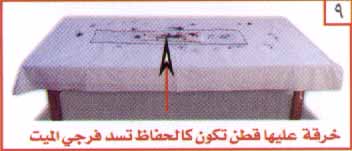 bntpal_1449128919_23