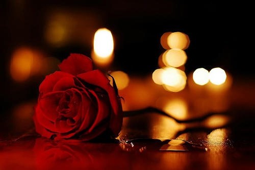 bntpal_1449168413_92