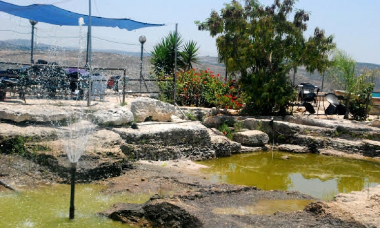 bntpal_1449171137_42