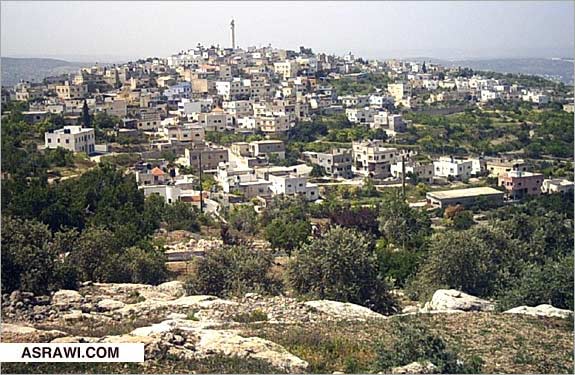 bntpal_1449171145_27