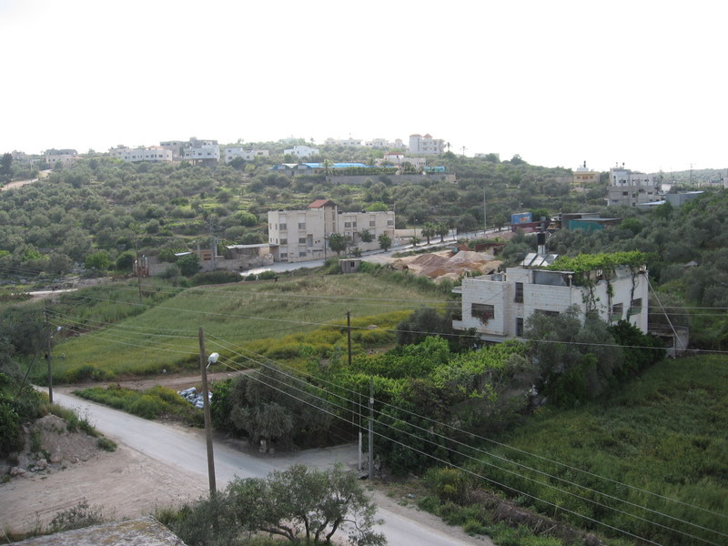 bntpal_1449171147_54