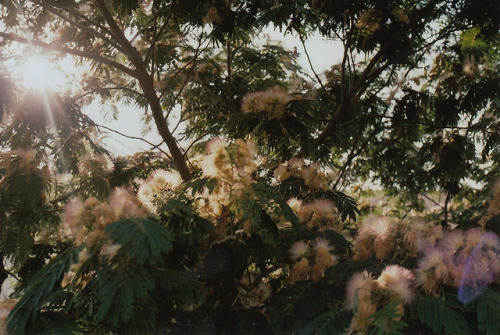     bntpal_1449217161_88