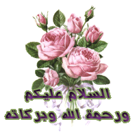 bntpal_1449253474_91