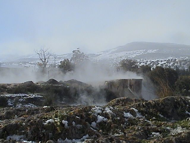 -  :::: bntpal_1449494428_37