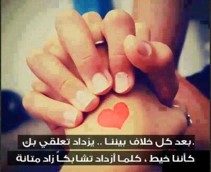 bntpal_1449592475_20