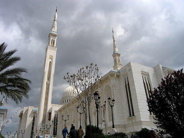bntpal_1449650953_39