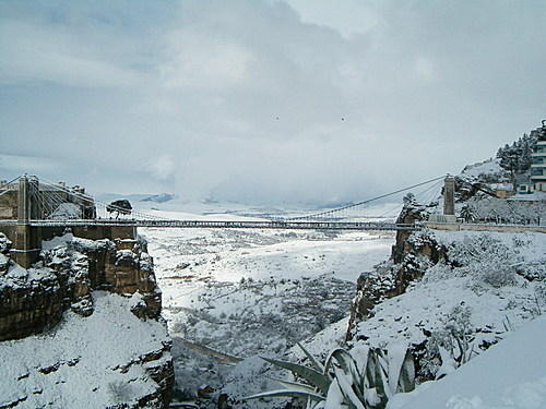 bntpal_1449650953_53