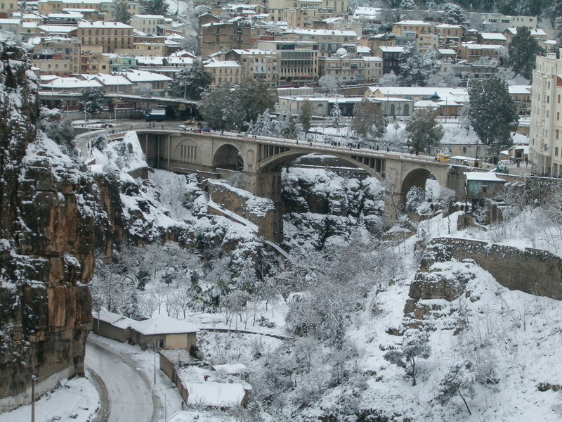 bntpal_1449650954_26