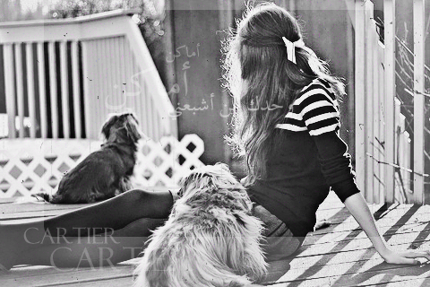  bntpal_1449734266_71