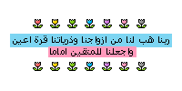 bntpal_1449901901_94