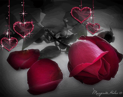  bntpal_1449987547_84