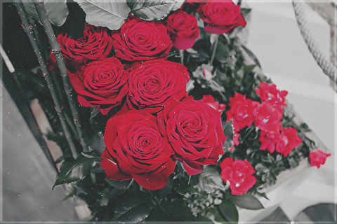 2015 2015 bntpal_1450029960_10