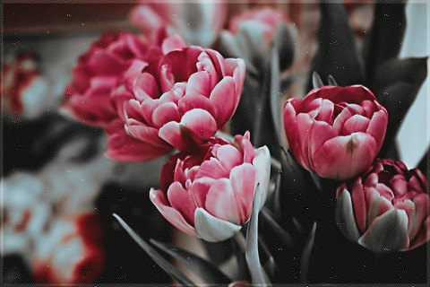 2015 2015 bntpal_1450029961_54