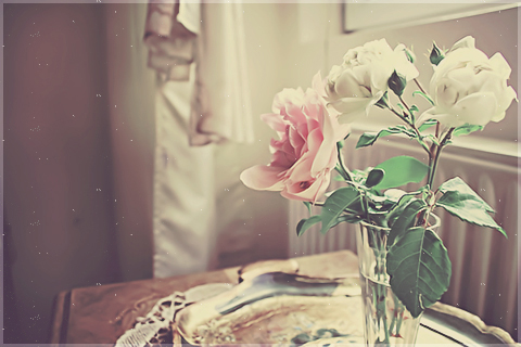 2015 2015 bntpal_1450029962_47