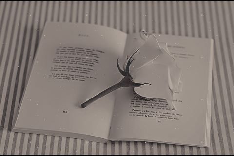 2015 2015 bntpal_1450029963_71